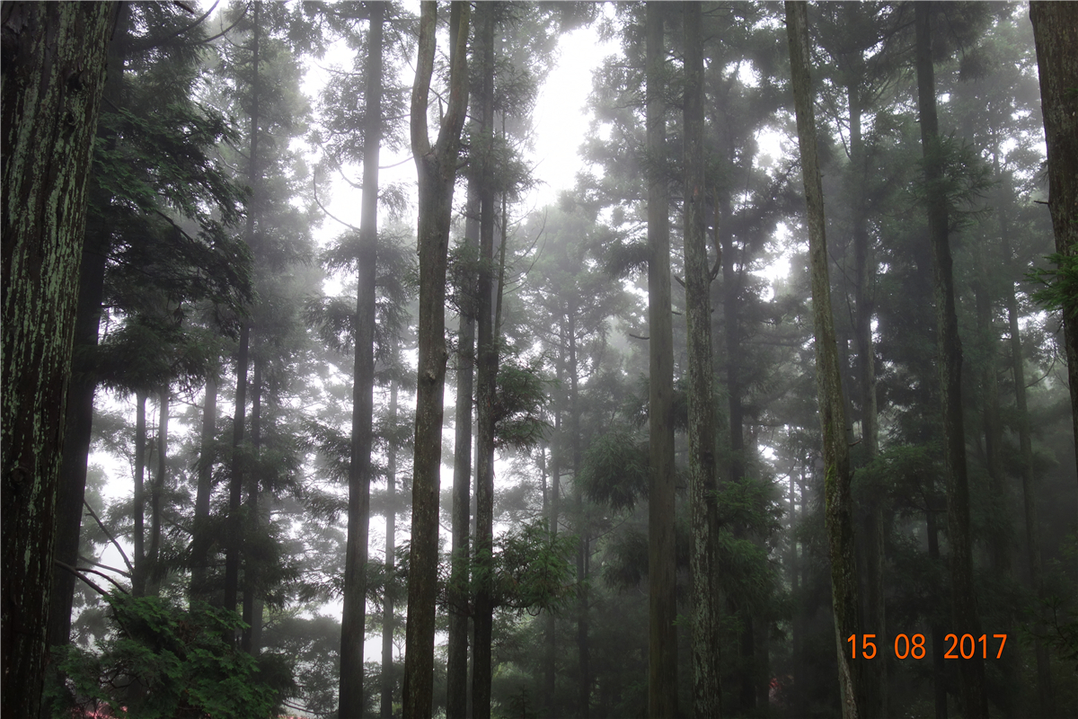 首页- YABO鸭脖公司官网