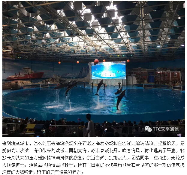 首页- YABO鸭脖公司官网