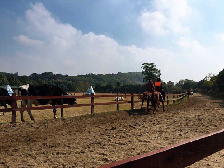 首页- YABO鸭脖公司官网