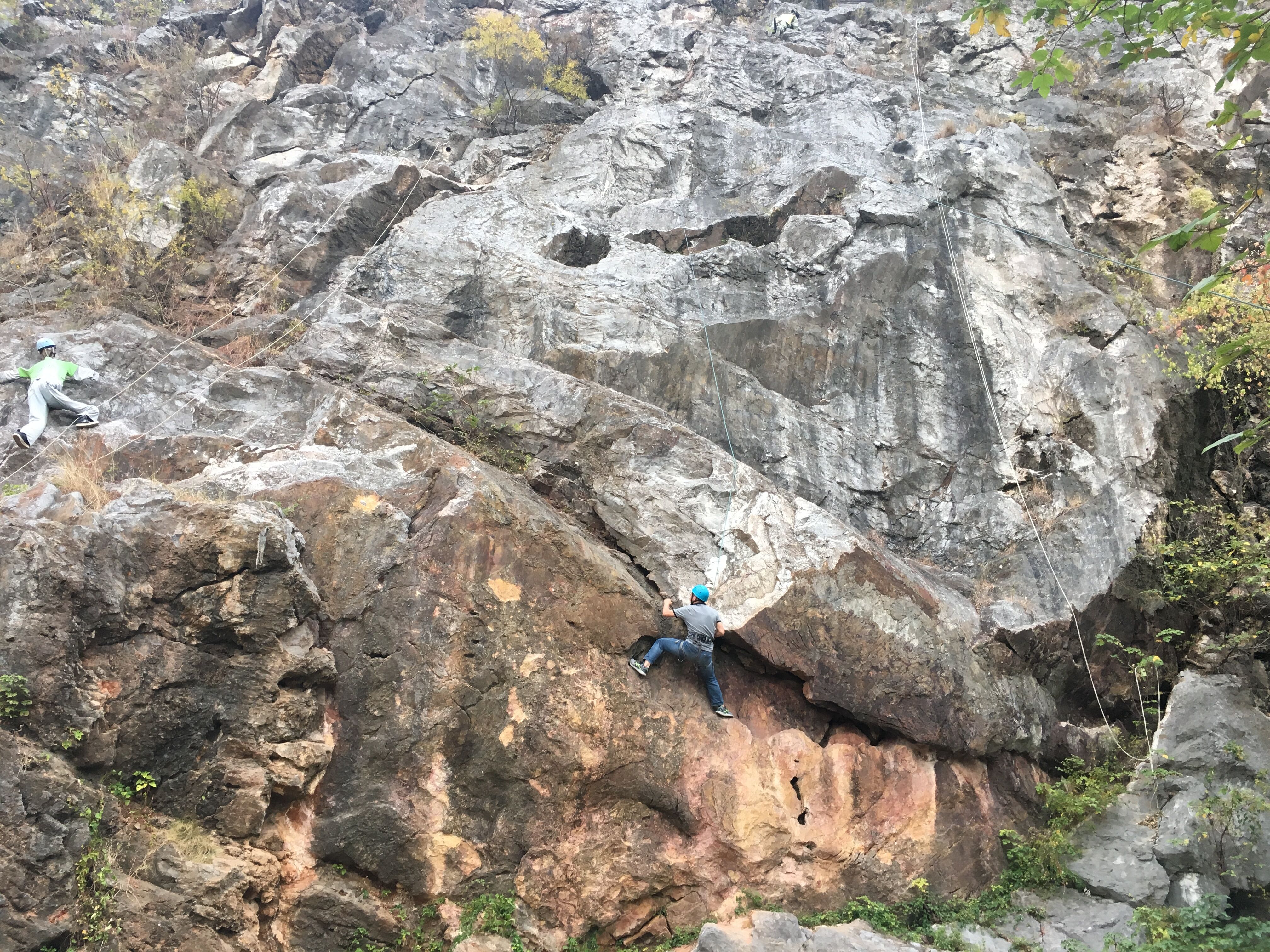 首页- YABO鸭脖公司官网