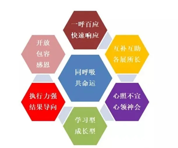 首页- YABO鸭脖公司官网