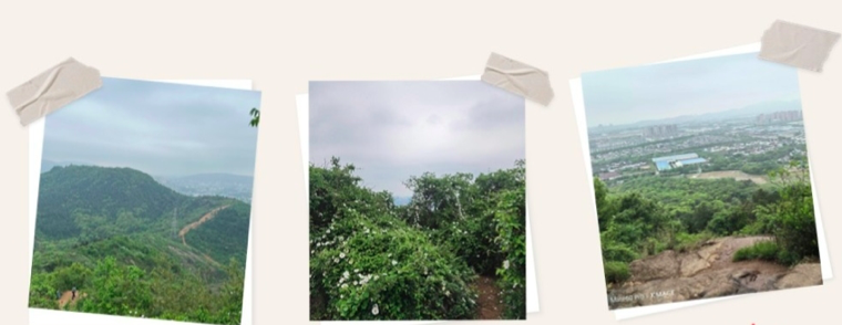 首页- YABO鸭脖公司官网