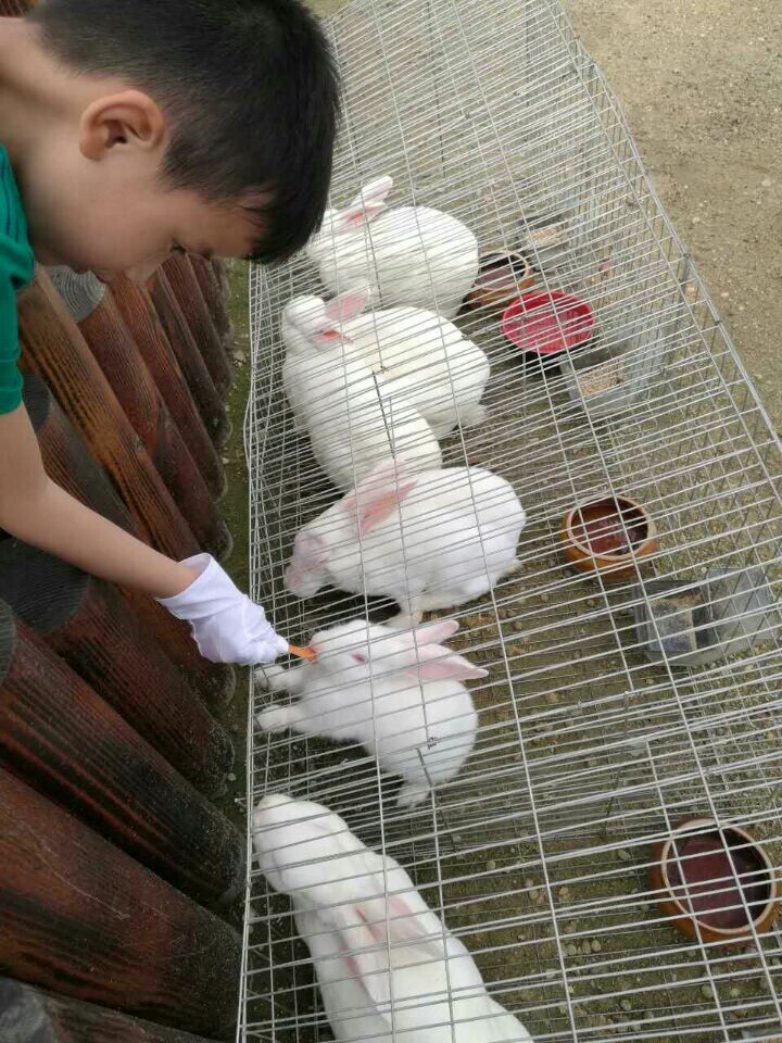 首页- YABO鸭脖公司官网